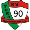 SV TuRa Beesenstedt (N)