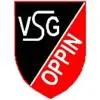JSG Oppin/Brachstedt