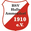 BSV Halle-Ammendorf II